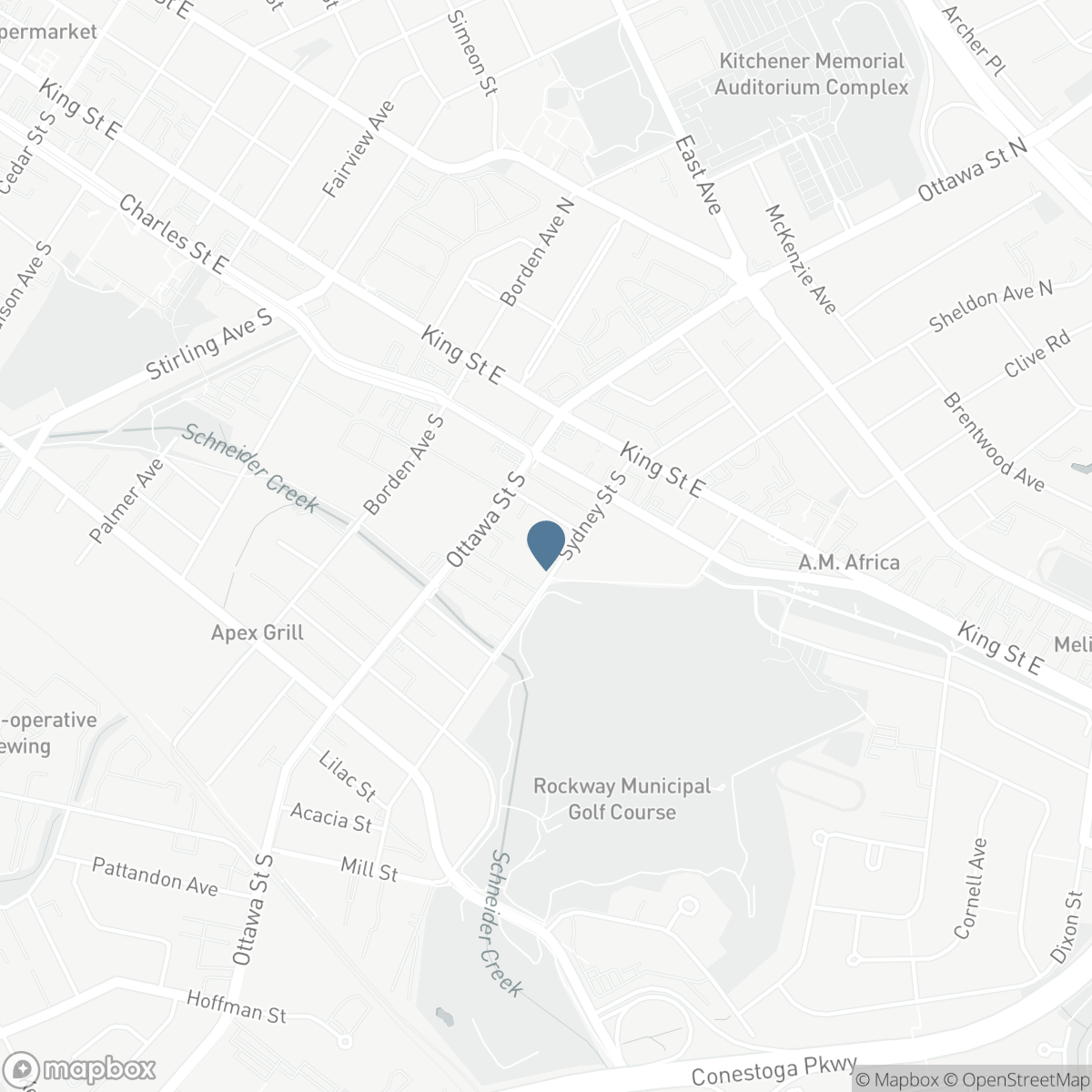 76 SYDNEY Street S Unit# 208, Kitchener, Ontario N2G 3V2